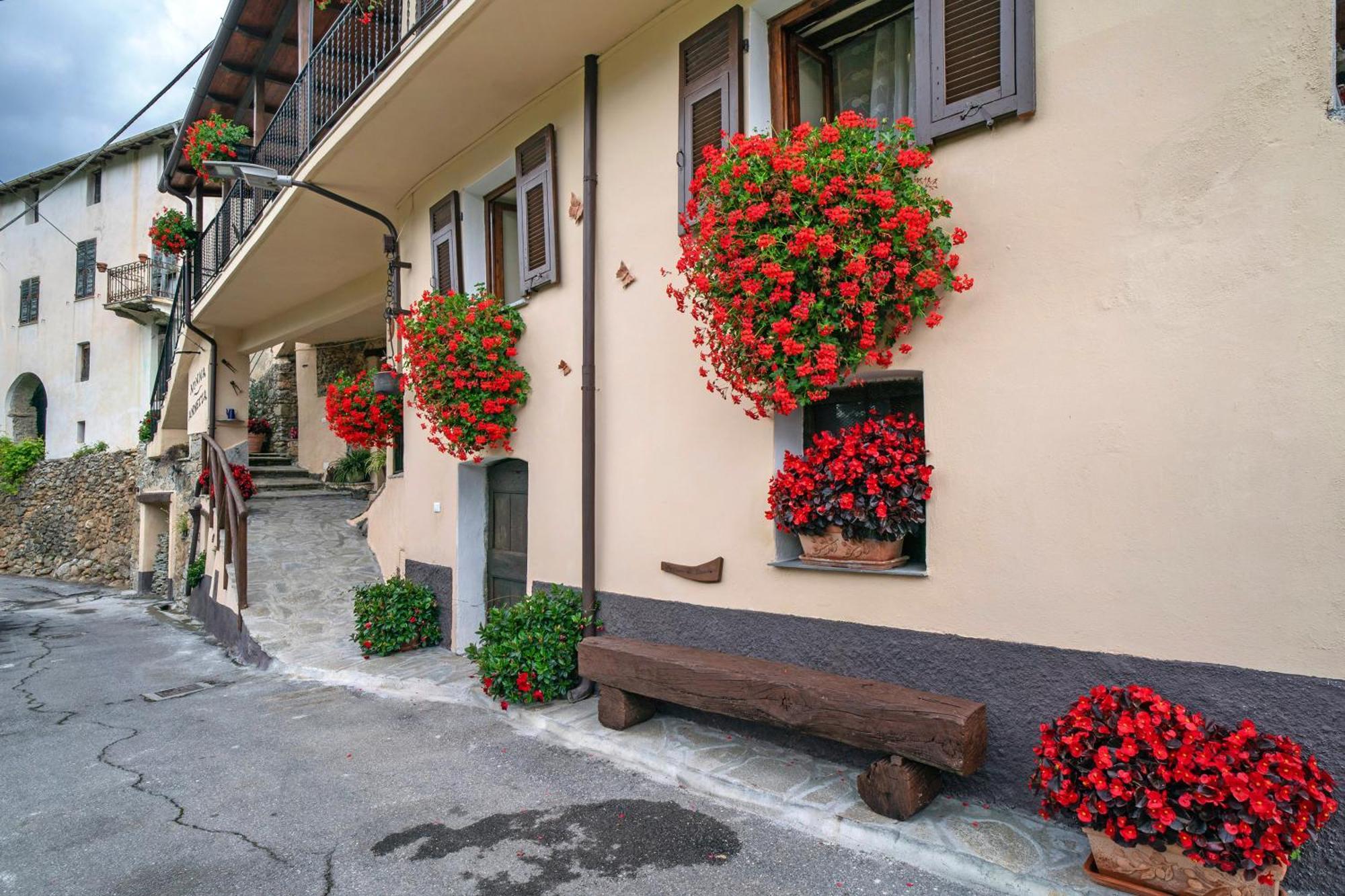 Agriturismo U' Spigu Nonna Annetta Nasino Exterior photo